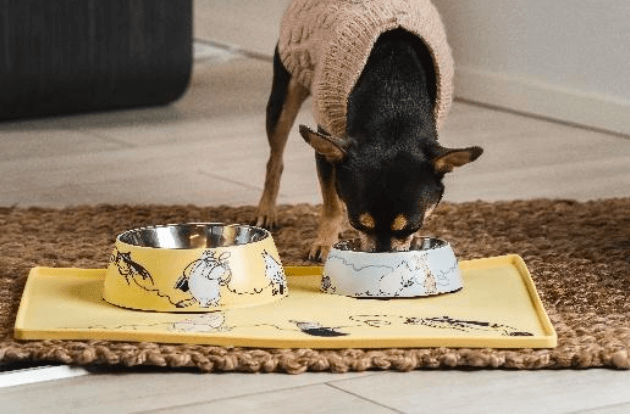 ムーミンデザインのペットグッズの写真