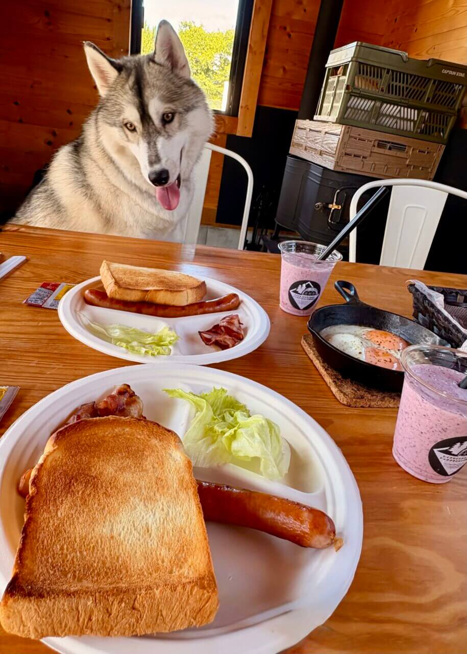 【滋賀県・犬同伴OK】ドッググランピング滋賀高島|琵琶湖近くで、全室プライベートドッグラン付きの愛犬専用グランピング!
