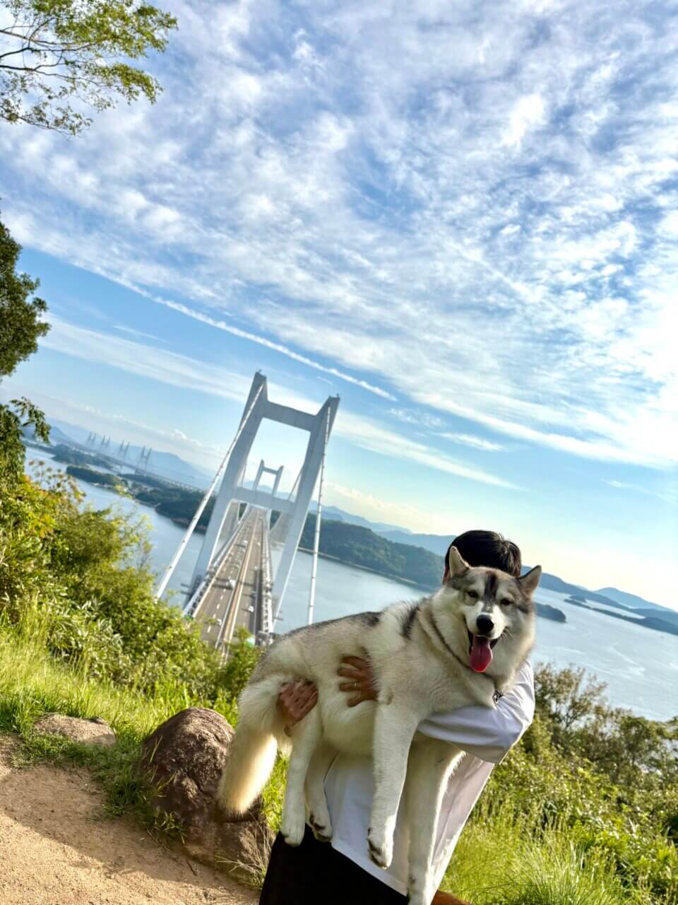 【岡山県・犬同伴OK】鷲羽山展望台|瀬戸大橋と夕日を愛犬と望む、倉敷随一の絶景展望台!