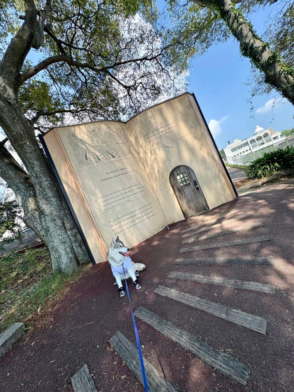 オリーブ畑とギリシャ風景を愛犬と楽しめる絶景公園