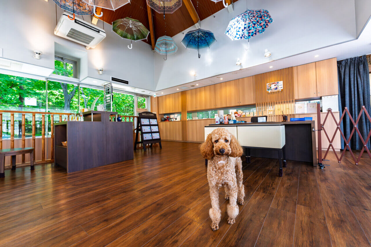 専用カウンター