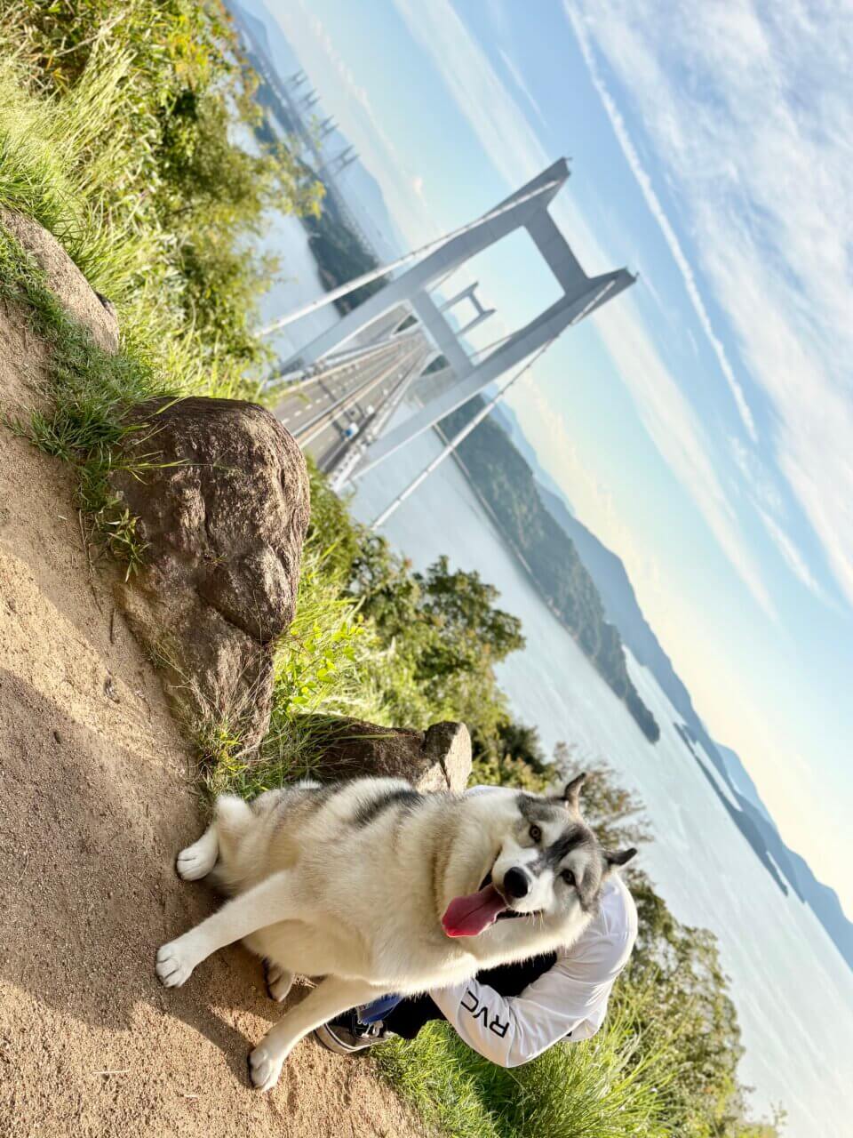 【岡山県・犬同伴OK】鷲羽山展望台|瀬戸大橋と夕日を愛犬と望む、倉敷随一の絶景展望台!