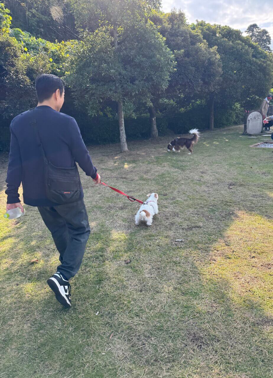 【東京・犬同伴OK】市原SA下り|南国リゾート風の雰囲気の中、充実したドッグランで愛犬とリフレッシュできる市原SA!