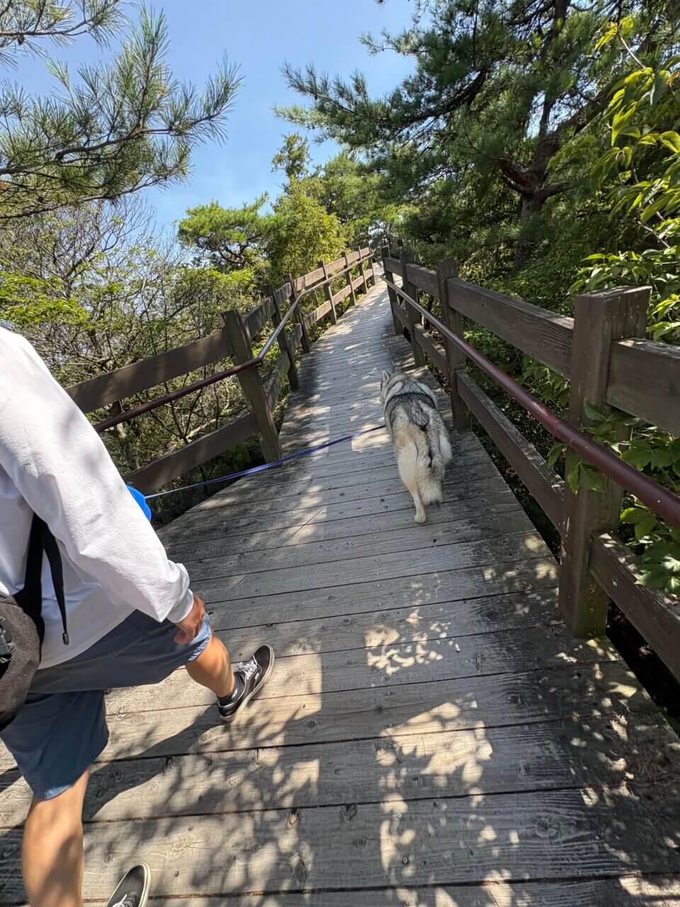 【岡山県・犬同伴OK】鬼城山(鬼ノ城)|歴史ロマンと絶景を、愛犬と一緒に楽しめる古代山城!