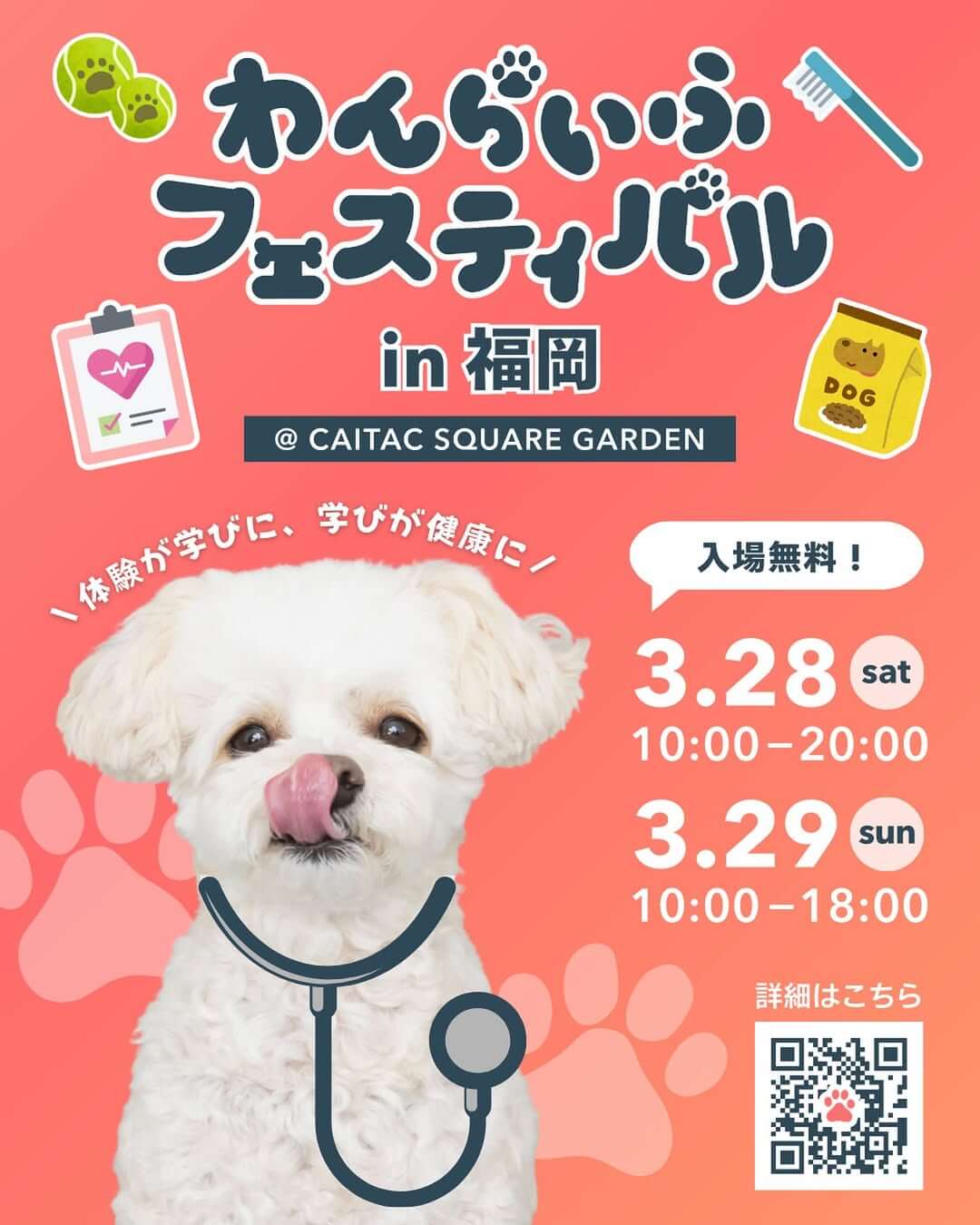 わんらいふフェスティバル in 福岡