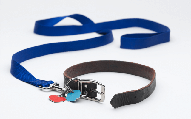 犬の手持ちリードの例