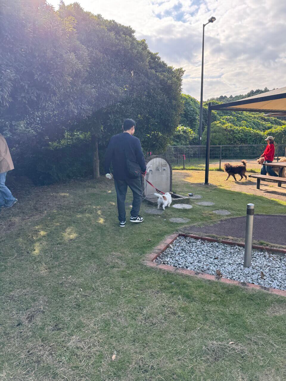 【東京・犬同伴OK】市原SA下り|南国リゾート風の雰囲気の中、充実したドッグランで愛犬とリフレッシュできる市原SA!