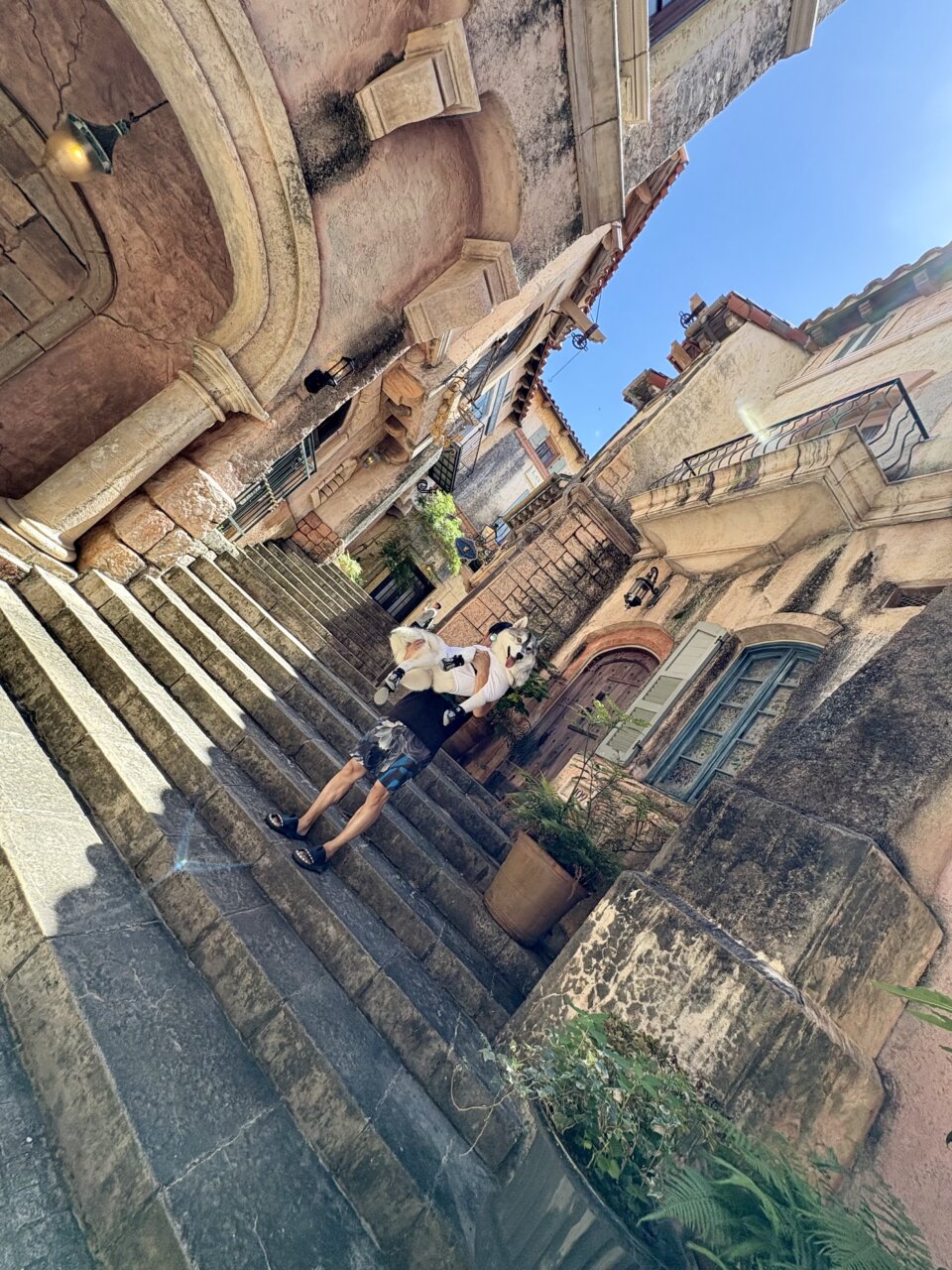 【和歌山県・犬同伴OK】ポルトヨーロッパ|ヨーロッパ風の街並みを愛犬と散策できるテーマパーク!