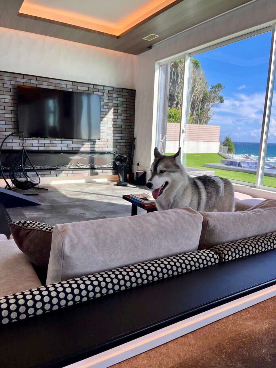 【和歌山県・犬同伴OK】Dog Villa Plumeria INAMI.｜愛犬と泊まれて遊べる、専用プール＆ドッグラン付きの贅沢ヴィラ！