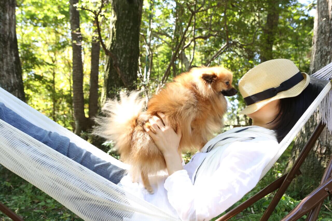 ポメラニアンと飼い主