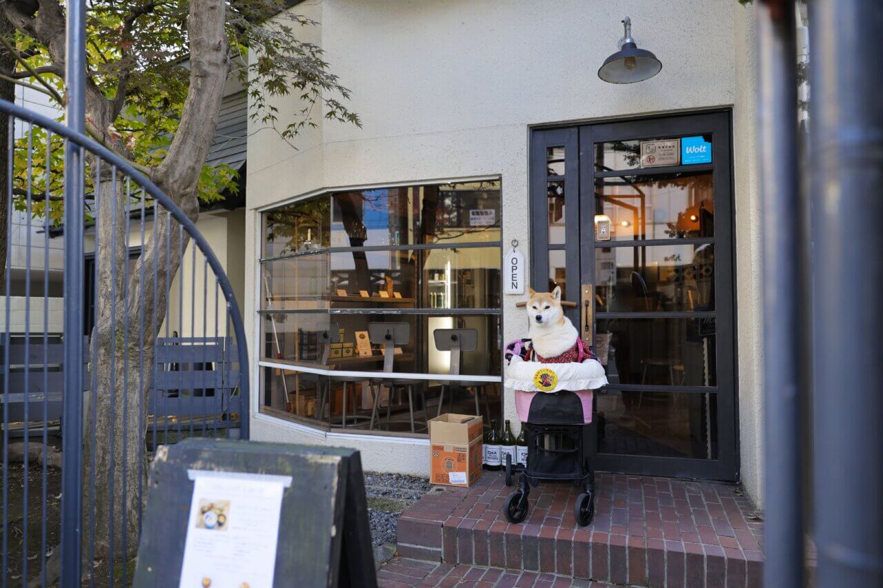 【岩手・犬同伴OK】RHINO｜看板犬ラフ君に迎えられ、愛犬と一緒にくつろげる盛岡のペット同伴カフェ