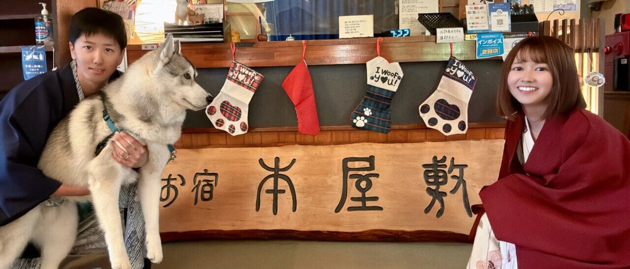 犬同伴OKの宿泊施設で過ごすシベリアンハスキーの写真