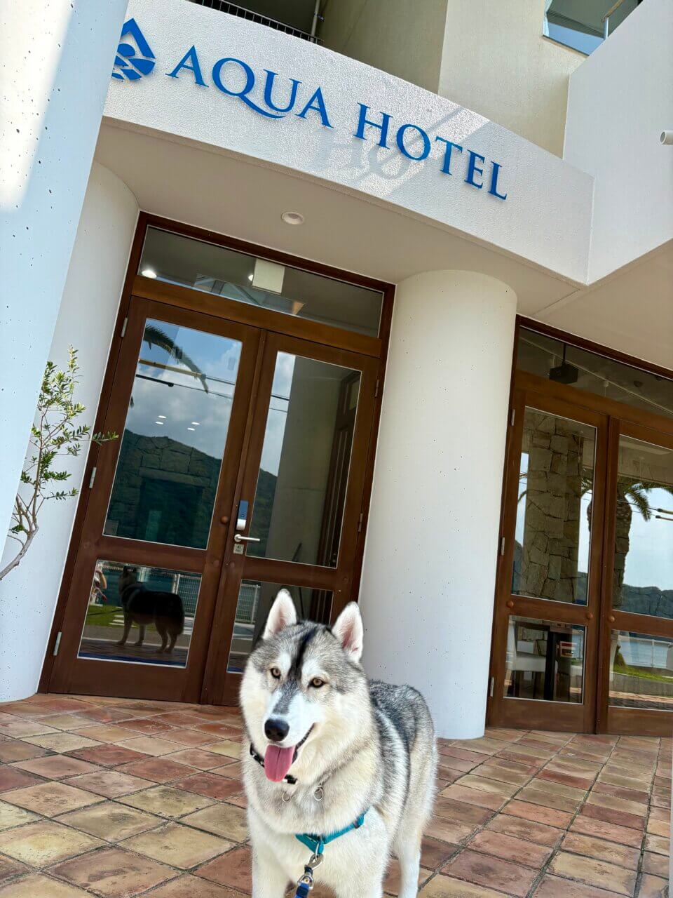 【香川県・犬同伴OK】アクアホテル小豆島リゾート|小豆島の静かな自然で、愛犬と泊まれるドッグフレンドリーな4つ星リゾート!