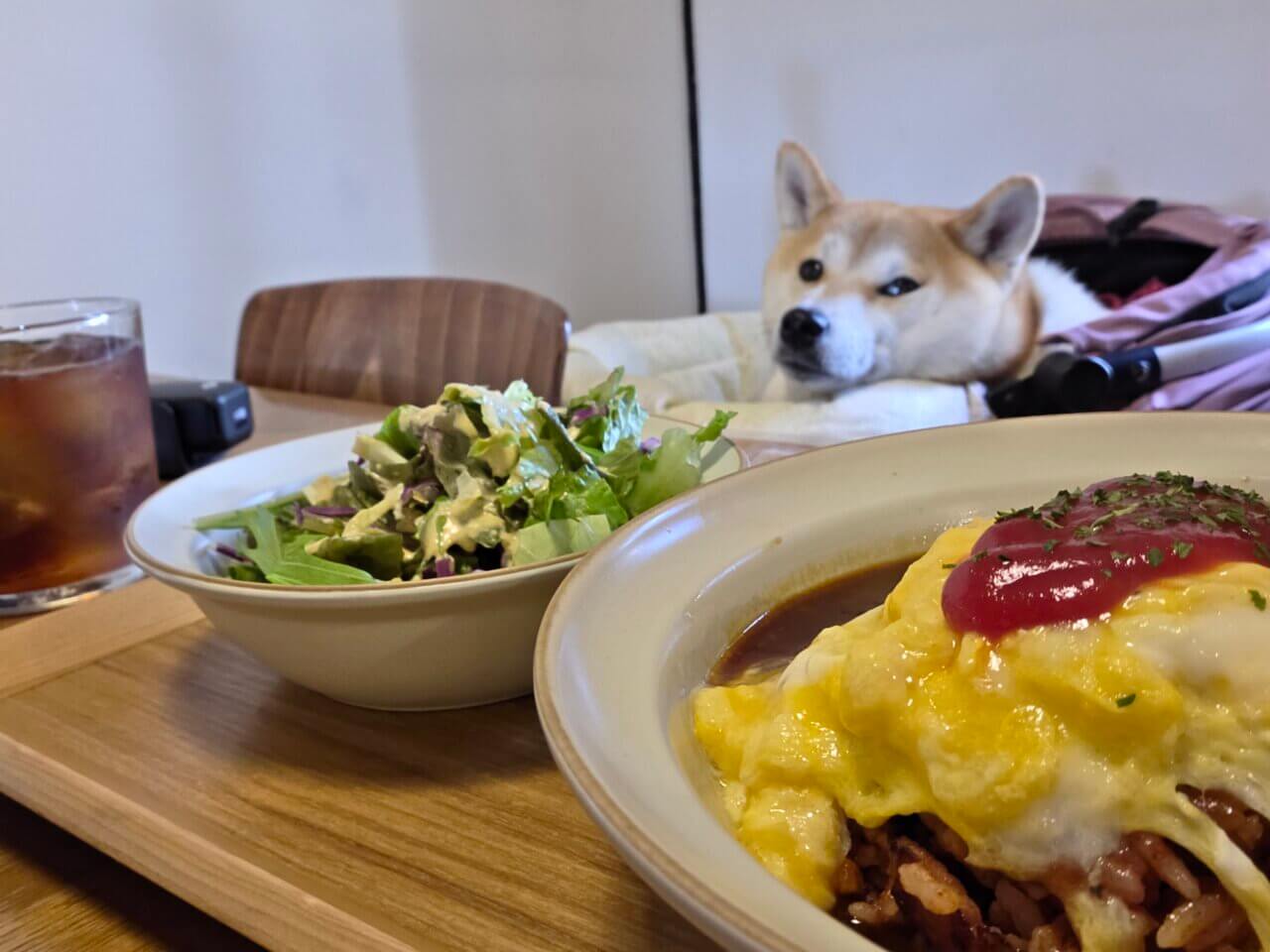 【岩手・犬同伴OK】RHINO｜看板犬ラフ君に迎えられ、愛犬と一緒にくつろげる盛岡のペット同伴カフェ