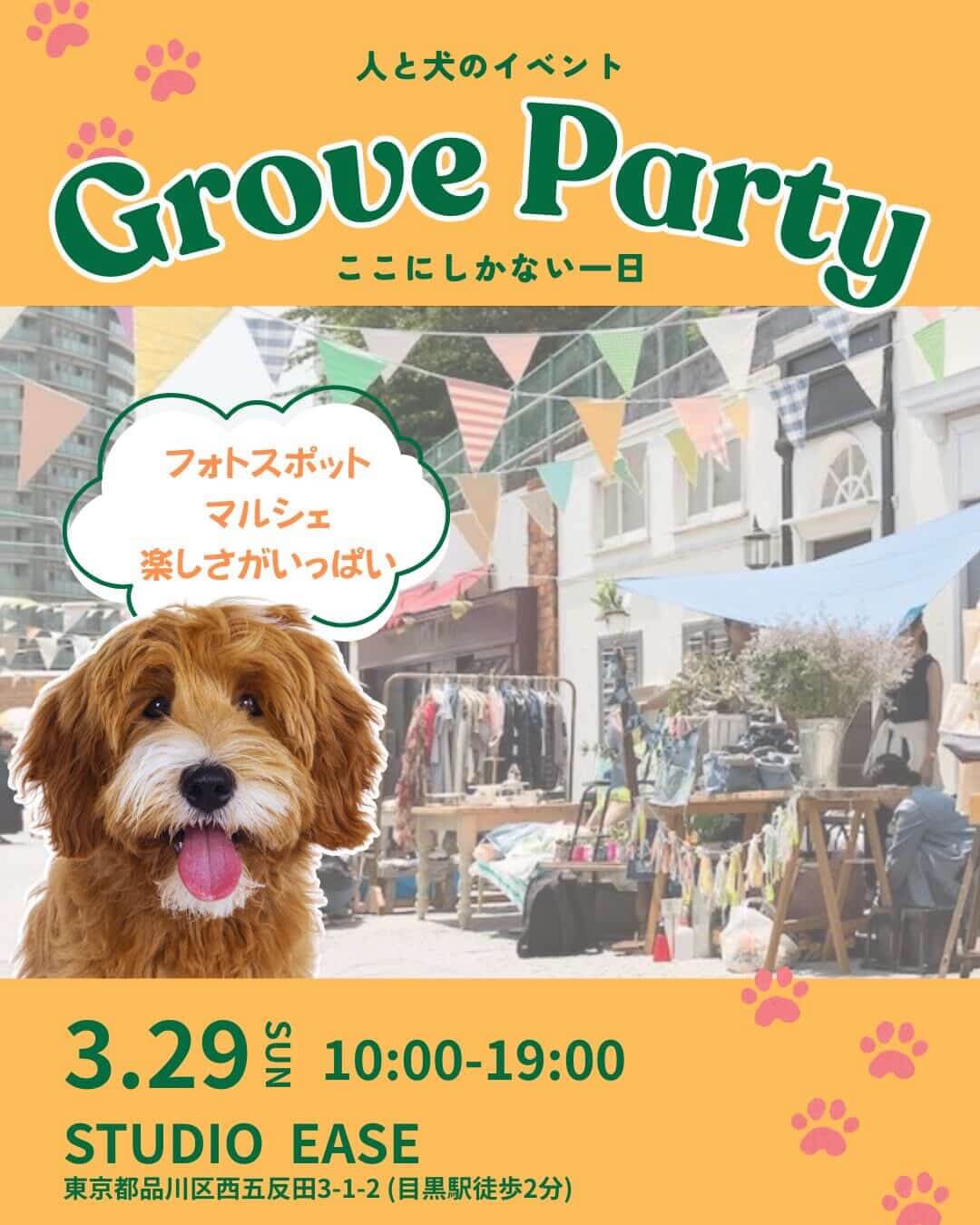 GroveParty グローブパーティー