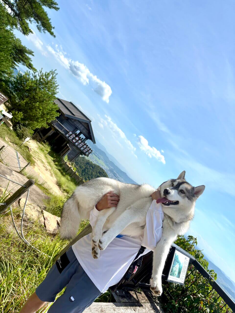 【岡山県・犬同伴OK】鬼城山(鬼ノ城)|歴史ロマンと絶景を、愛犬と一緒に楽しめる古代山城!