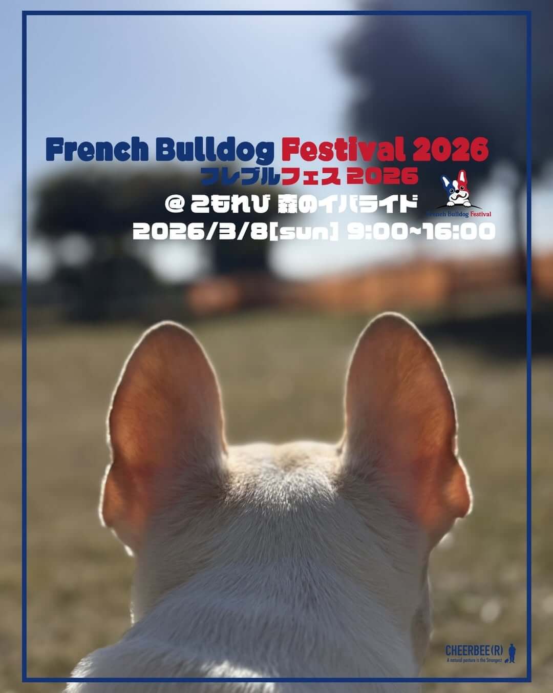 フレブルフェス 2026 meets こもれび森のイバライド