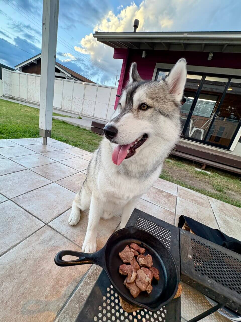【滋賀県・犬同伴OK】ドッググランピング滋賀高島|琵琶湖近くで、全室プライベートドッグラン付きの愛犬専用グランピング!