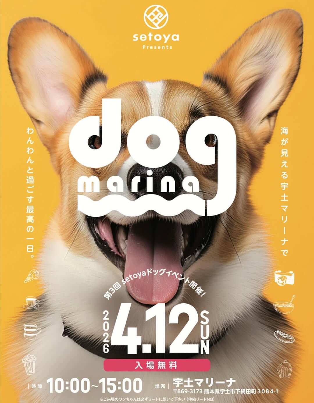 3rd dog marina