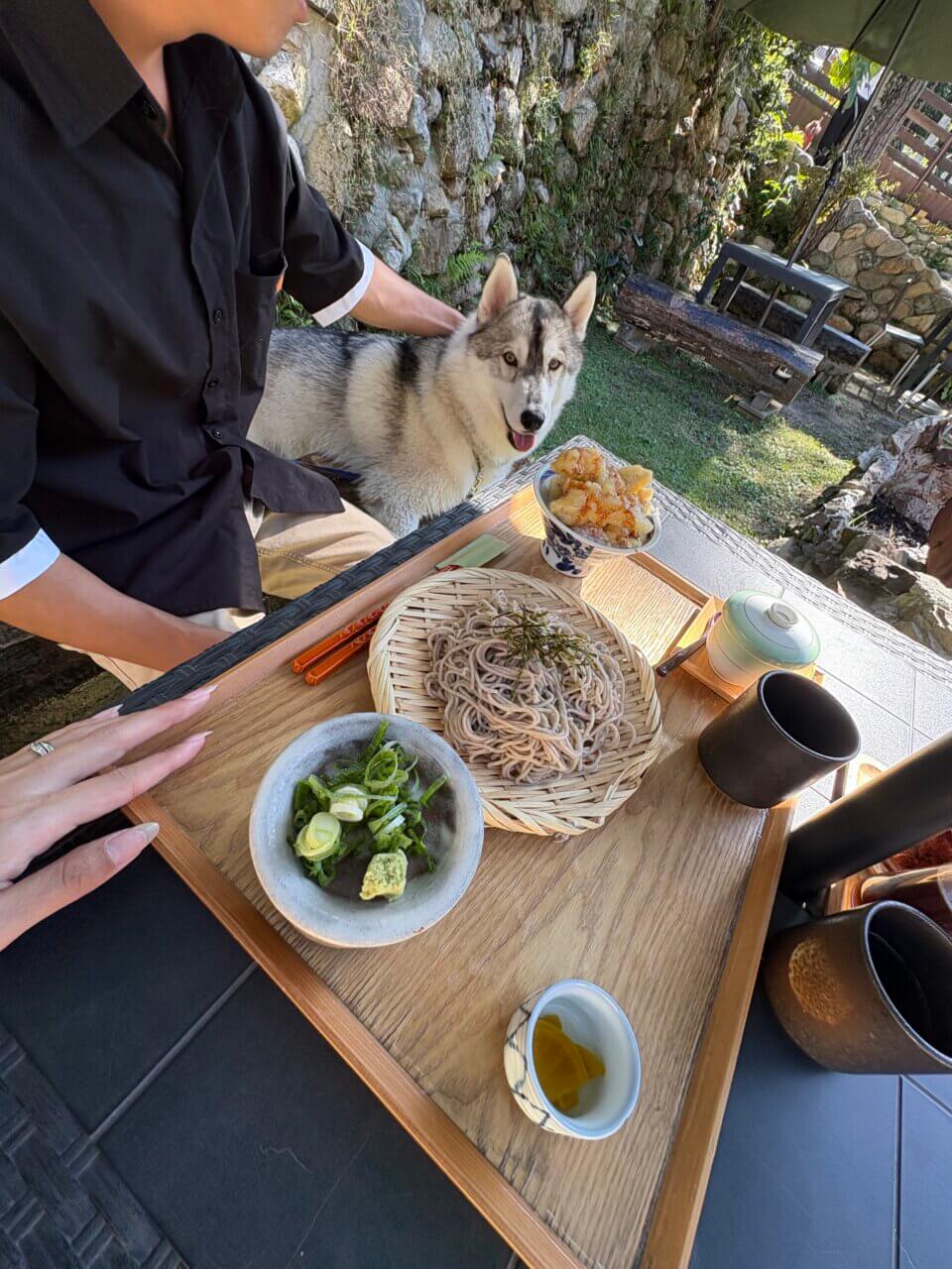 【岡山県・犬同伴OK】わんだぶる|天然芝ドッグランと名物グルメで、愛犬と自然を満喫できる真庭のドッグカフェ!