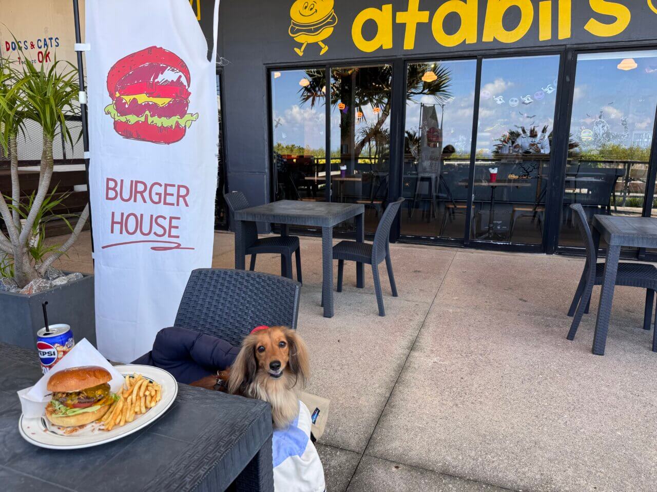 【沖縄・犬同伴OK】burger&coffee atabii’s YOMITAN|沖縄・読谷村の海を望むテラスで、愛犬と楽しめるハンバーガー&コーヒーカフェ