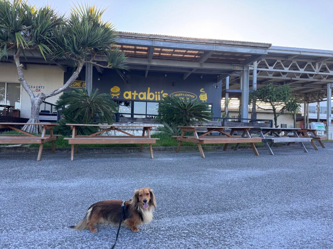 【沖縄・犬同伴OK】burger&coffee atabii’s YOMITAN|沖縄・読谷村の海を望むテラスで、愛犬と楽しめるハンバーガー&コーヒーカフェ