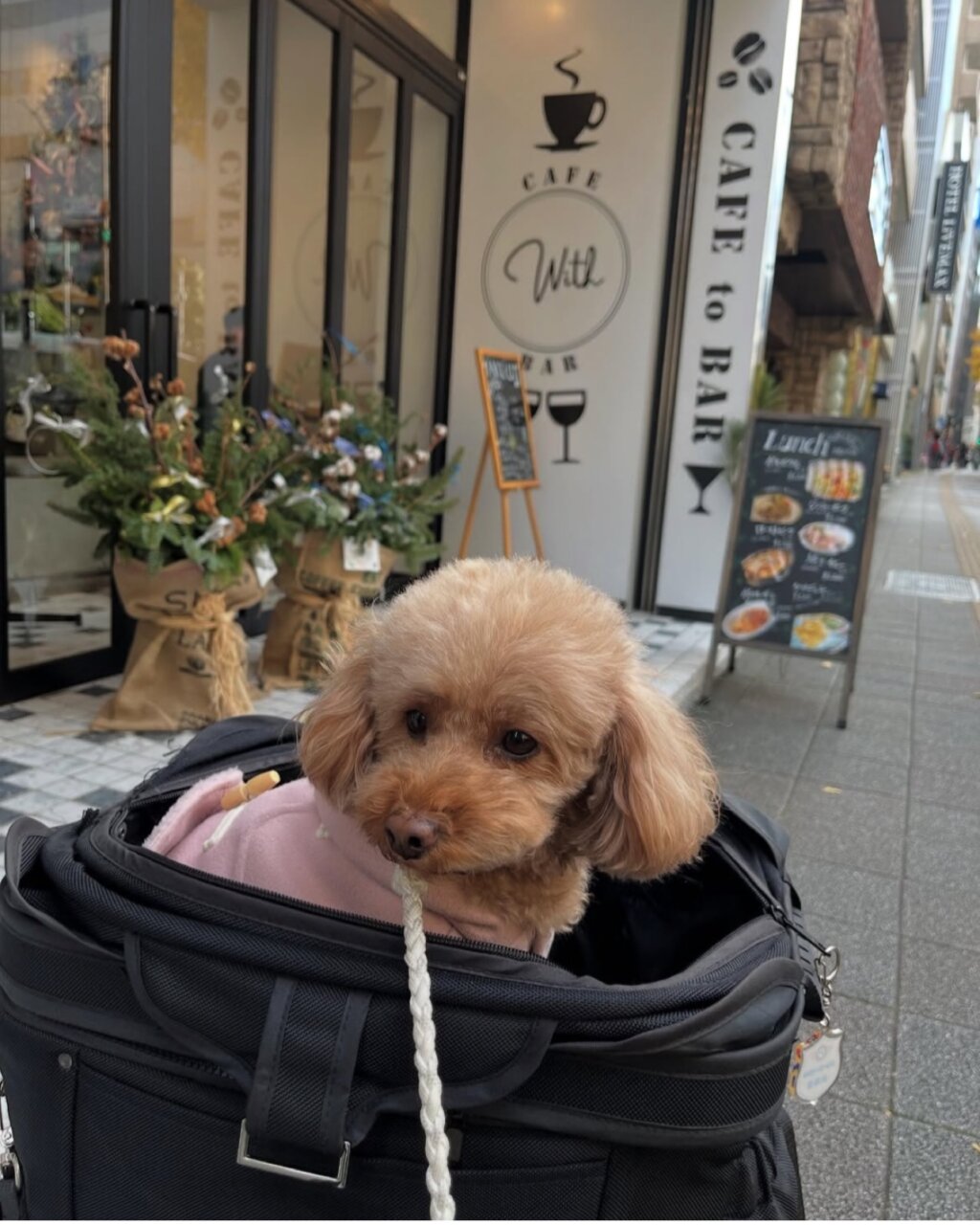 【東京都・犬同伴OK】cafe to bar With|東京都台東区のペット同伴OKカフェバーで、昼はランチやスイーツ、夜はお酒も楽しめるおしゃれスポット