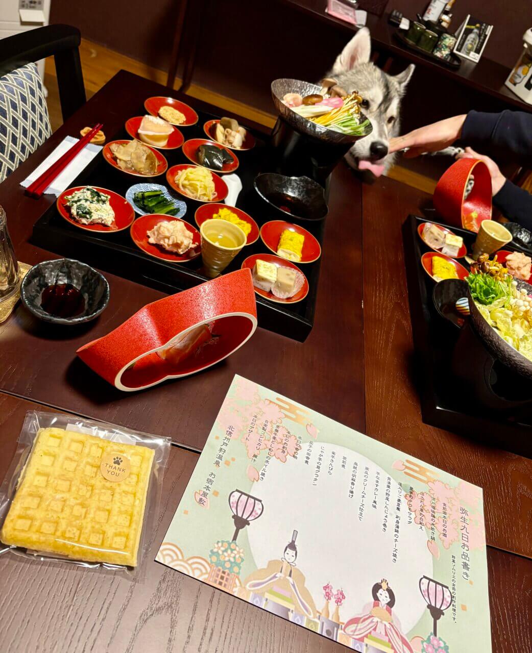 犬同伴OKの宿泊施設で過ごすシベリアンハスキーの写真