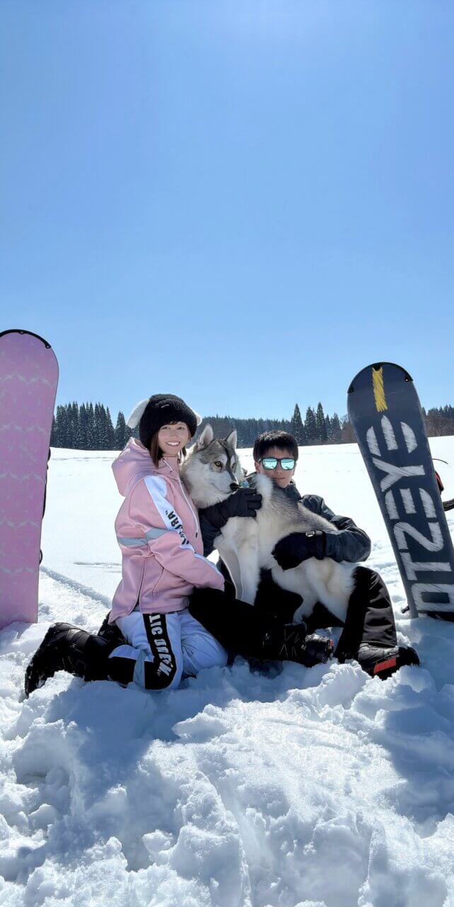 黒姫高原スノーパークでシベリアンハスキーが雪で遊んでいる姿