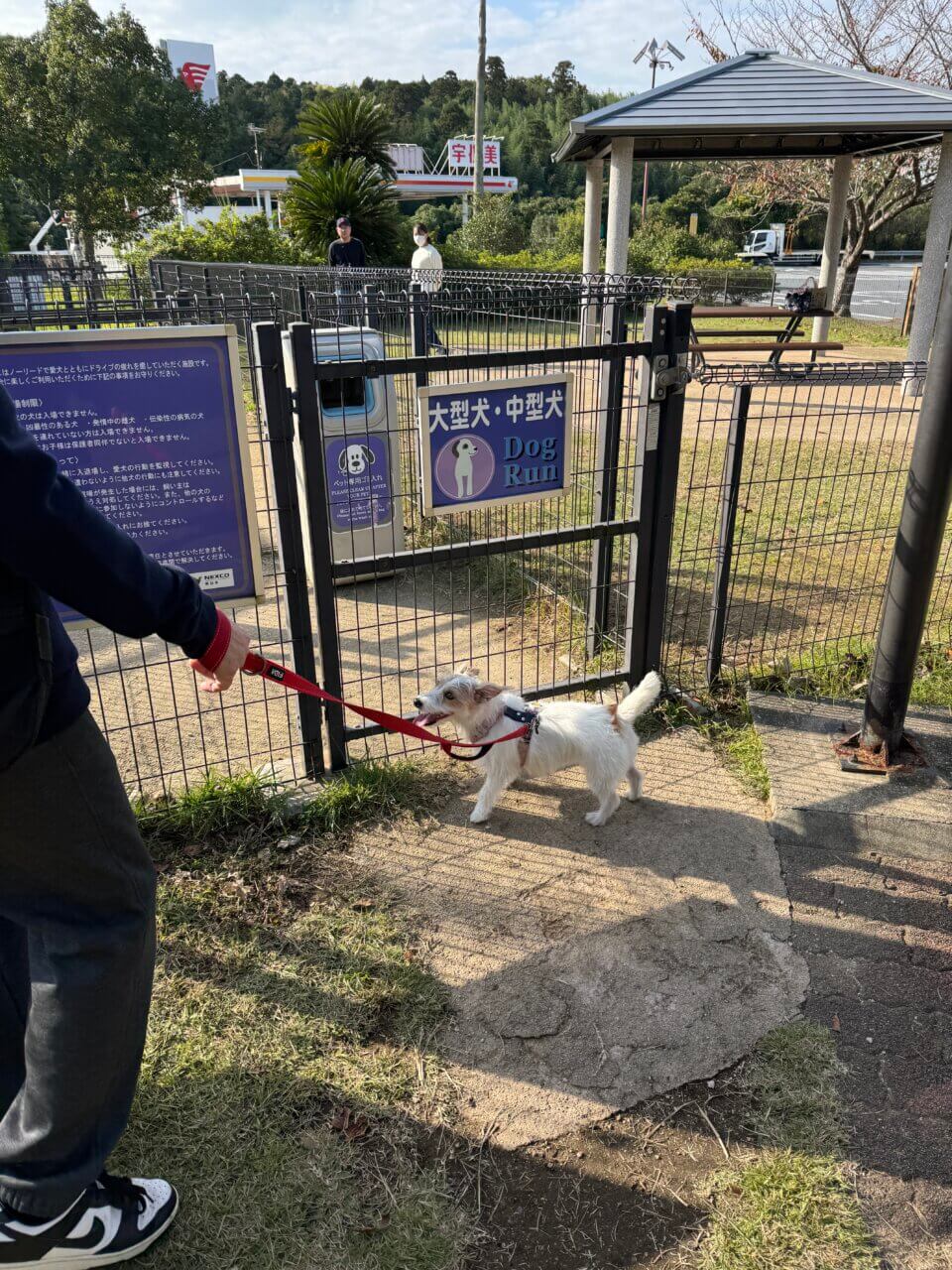 【東京・犬同伴OK】市原SA下り|南国リゾート風の雰囲気の中、充実したドッグランで愛犬とリフレッシュできる市原SA!