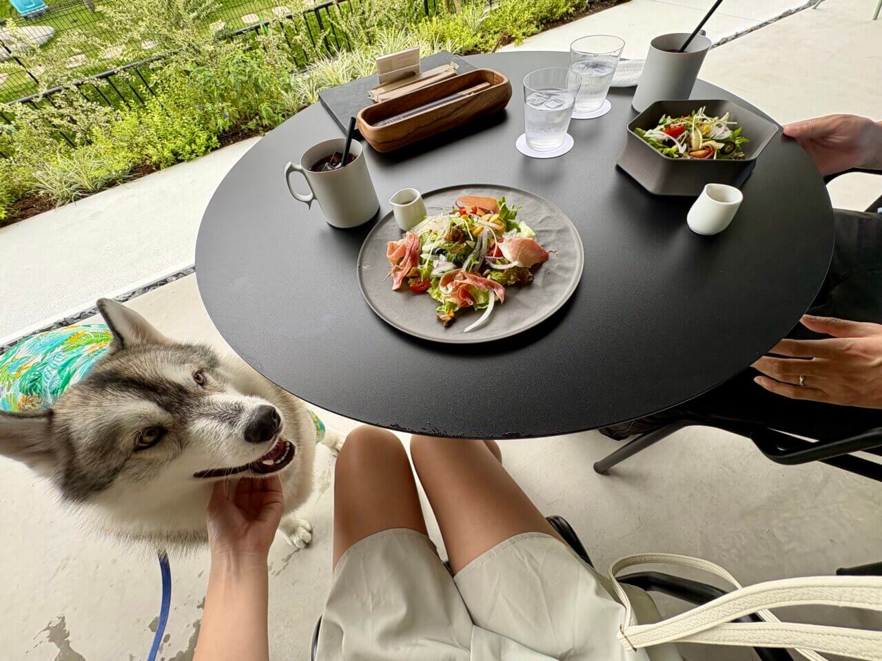 【広島県・犬同伴OK】dog lounge yaburo｜自然に囲まれた空間で、愛犬とくつろぐ特別なひととき