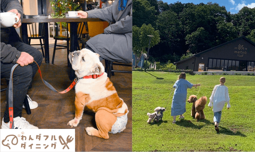 愛犬を連れて室内で食事ができる「わんダフル ダイニング」ウィ期間限定で開催するメッツァビレッジの紹介写真
