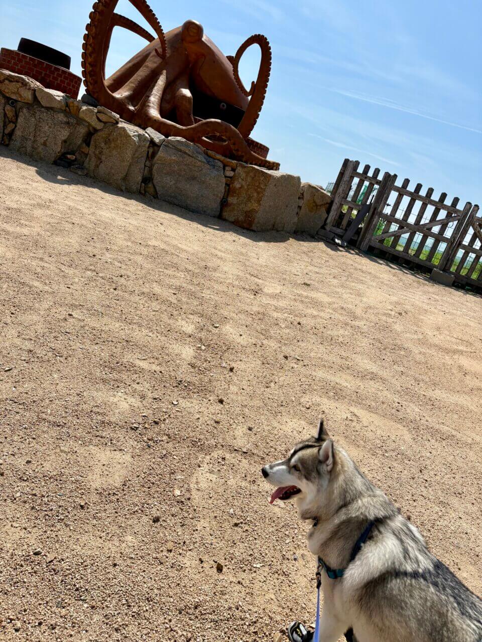 【香川県・犬同伴OK】二十四の瞳映画村|愛犬と歩く、昭和ノスタルジーの世界!