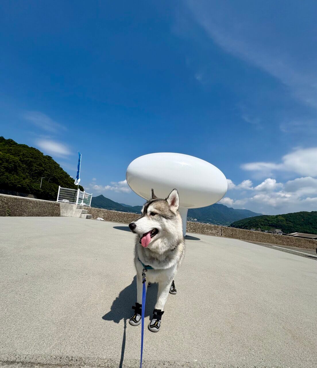 【香川県・犬同伴OK】二十四の瞳映画村|愛犬と歩く、昭和ノスタルジーの世界!