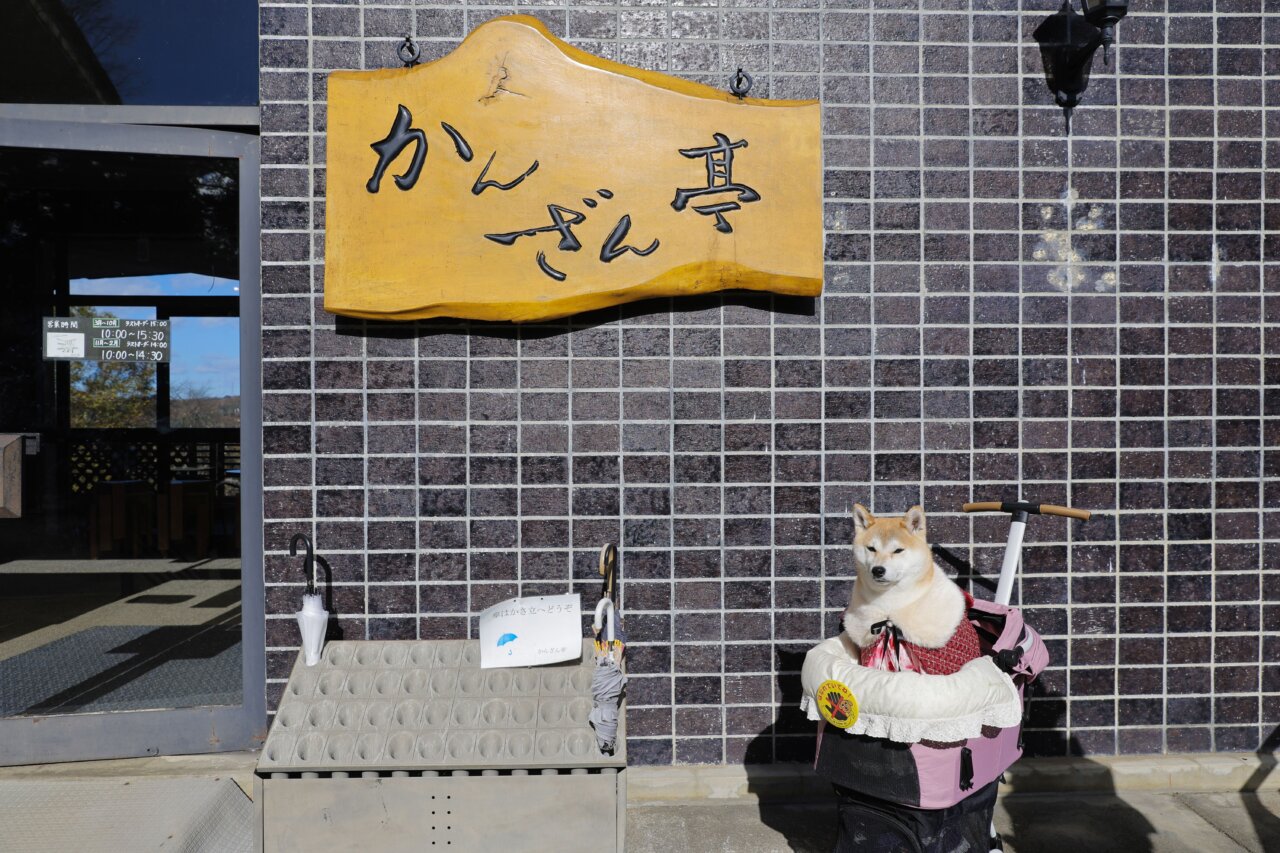 【岩手・犬同伴OK】かんざん亭|岩手・平泉の中尊寺境内で、愛犬と一緒に自然薯そばや甘味を楽しめるペット同伴OKの癒しレストラン