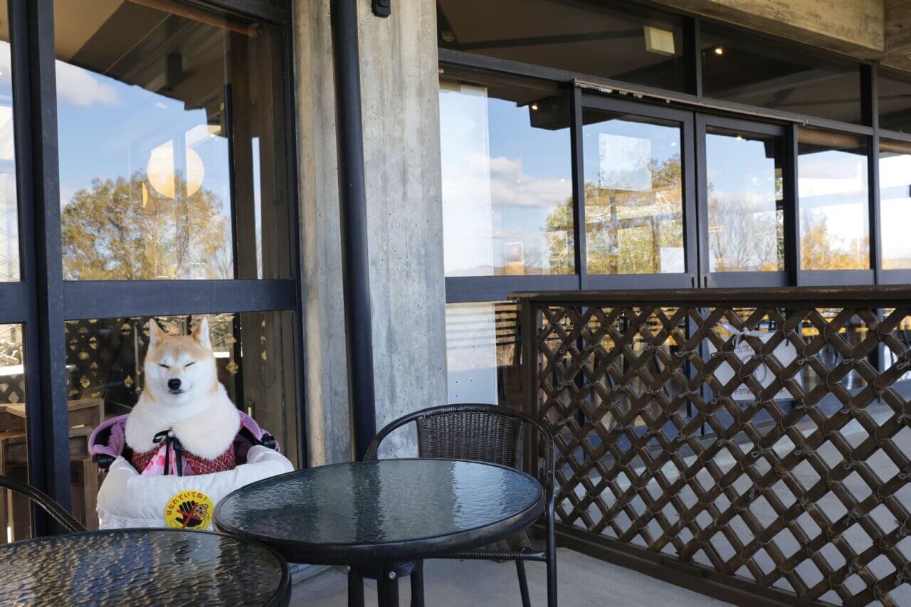 【岩手・犬同伴OK】かんざん亭|岩手・平泉の中尊寺境内で、愛犬と一緒に自然薯そばや甘味を楽しめるペット同伴OKの癒しレストラン