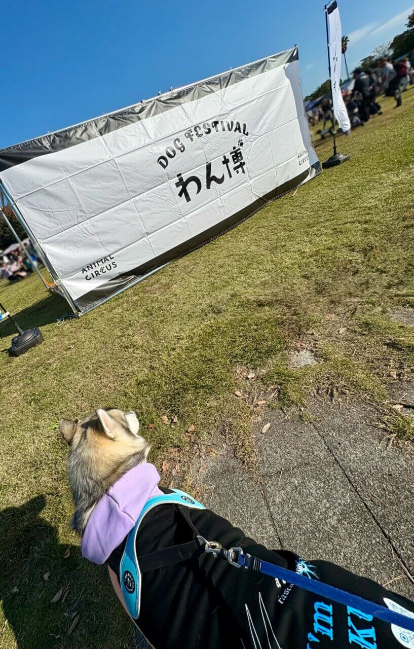 【岡山県・犬同伴OK】わん博in赤穂海浜公園｜約100ブースが集結し、巨大迷路やワンコイントリミングなど大型ドッグイベント