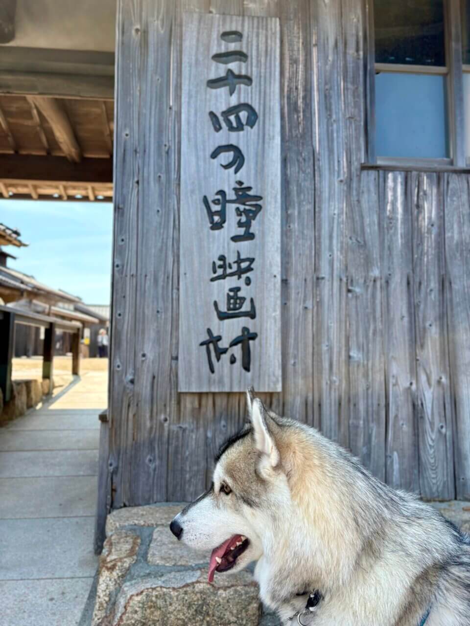 【香川県・犬同伴OK】二十四の瞳映画村|愛犬と歩く、昭和ノスタルジーの世界!