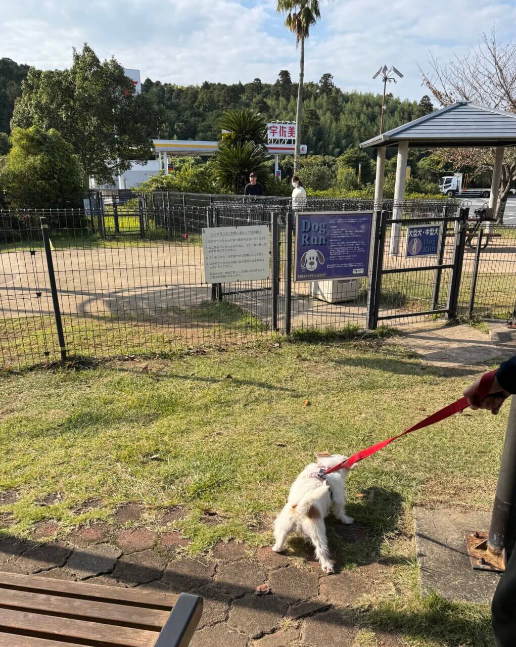 【東京・犬同伴OK】市原SA下り|南国リゾート風の雰囲気の中、充実したドッグランで愛犬とリフレッシュできる市原SA!