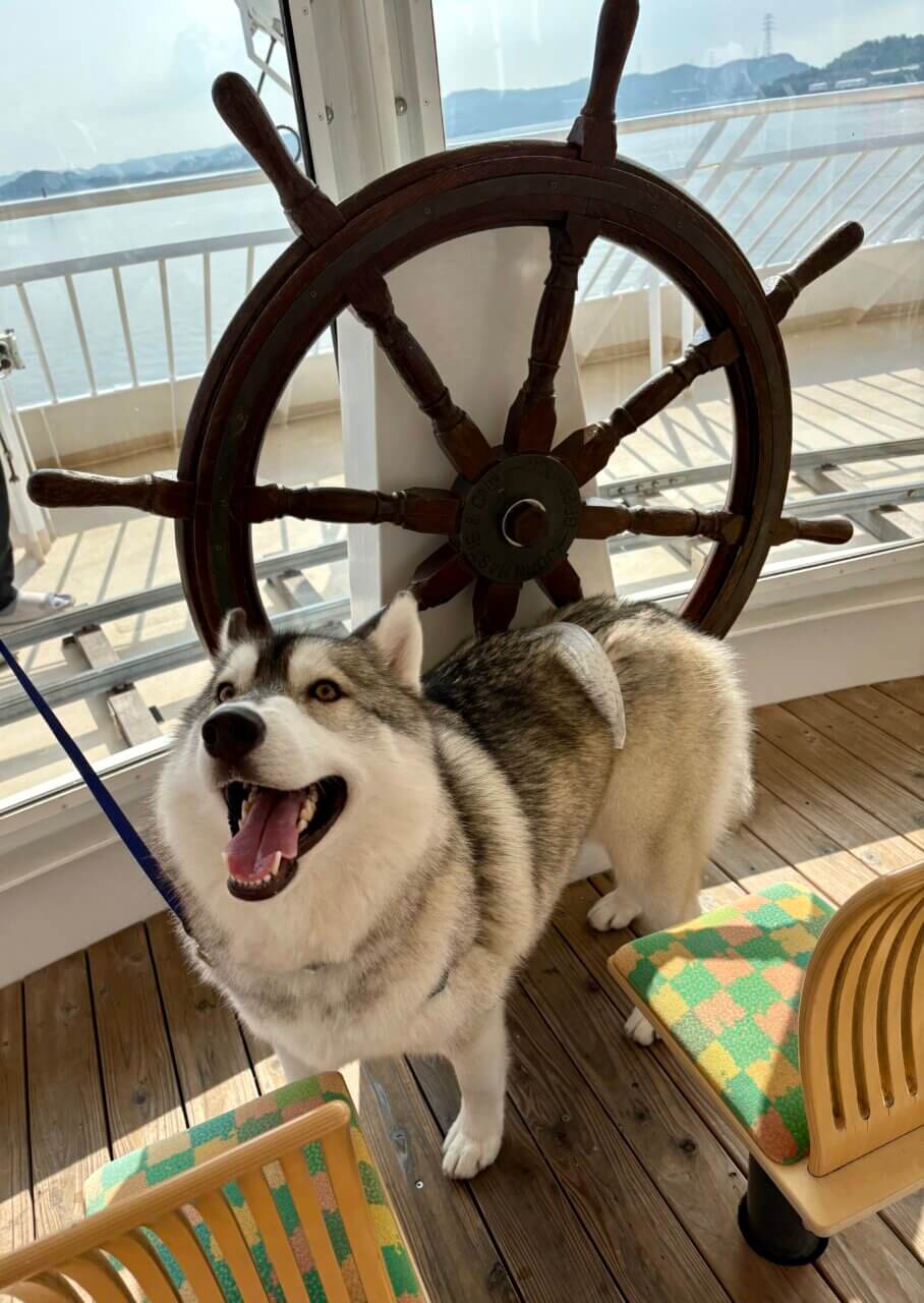 【香川県・犬同伴OK】小豆島フェリー|神戸・高松からアクセスでき、ペット同伴で海の景色も楽しめる小豆島へのフェリー