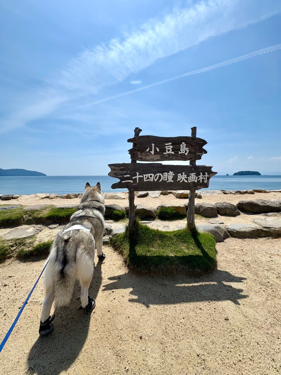 【香川県・犬同伴OK】二十四の瞳映画村|愛犬と歩く、昭和ノスタルジーの世界!