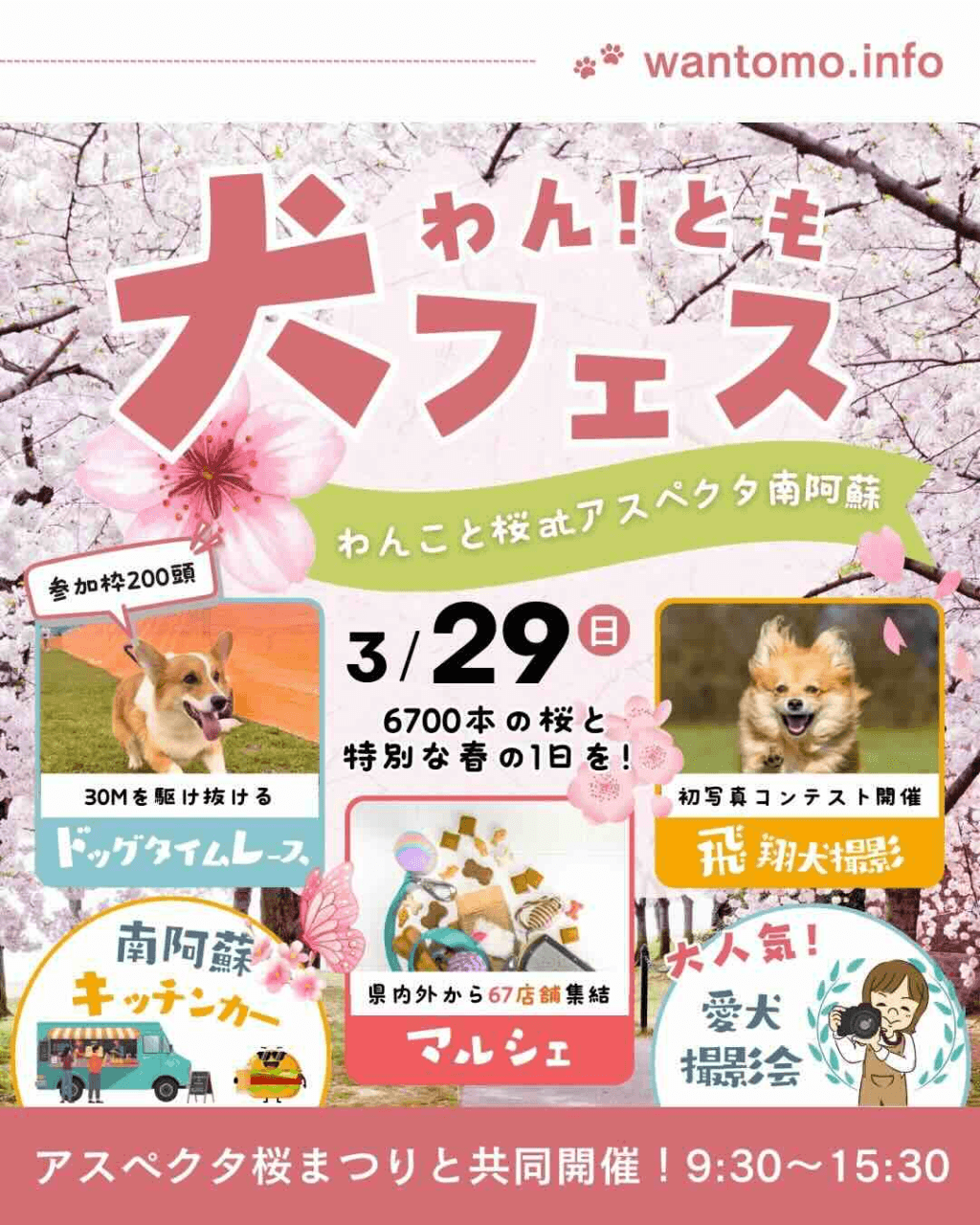 わん！とも犬フェス春～わんこと桜～