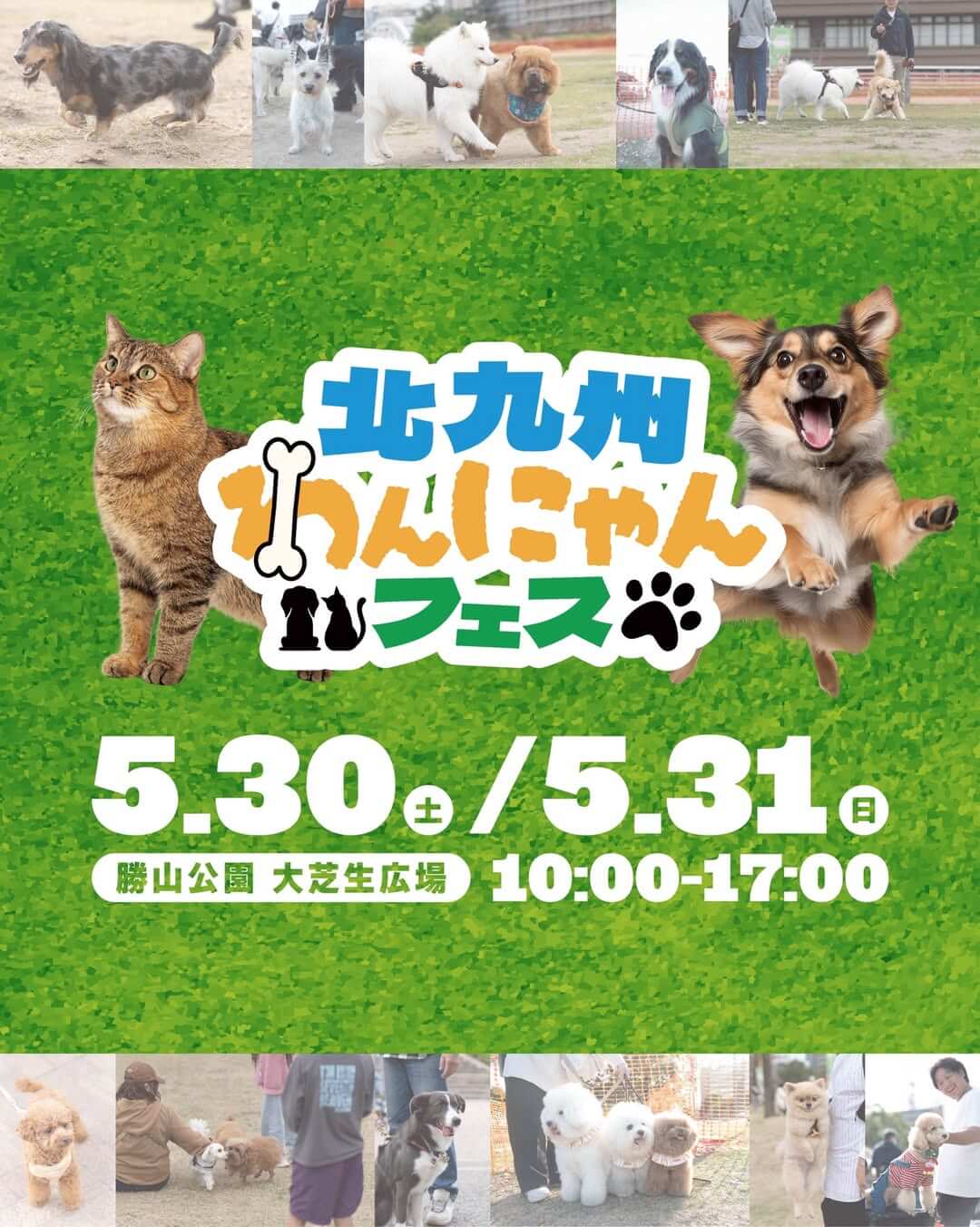 北九州わんにゃんフェス