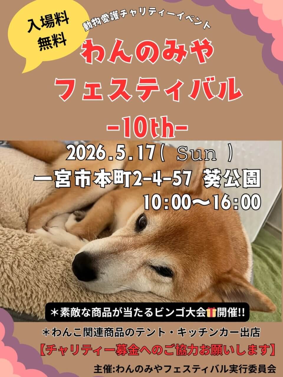 わんのみやフェスティバル-10th-