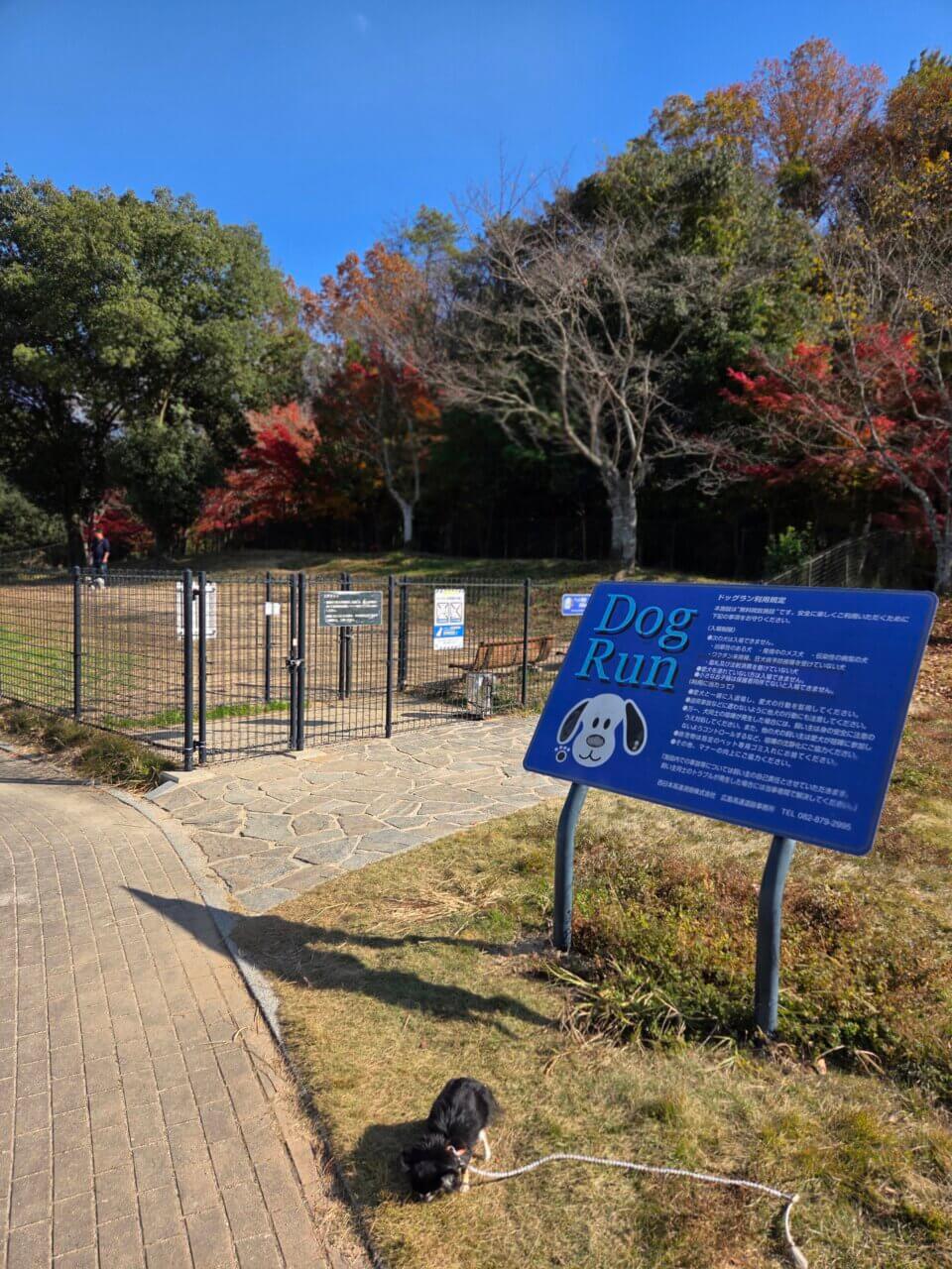 【広島県・犬同伴OK】ドッグラン 小谷SA(下り)｜山陽自動車道の小谷SA（下り）で、愛犬がのびのび遊べるドッグラン付きサービスエリア
