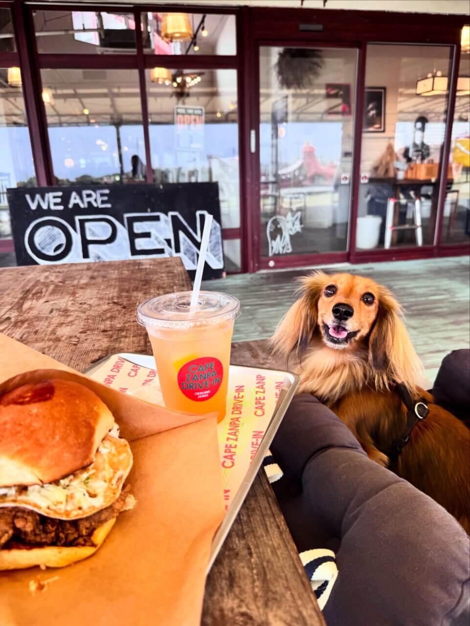 【沖縄・犬同伴OK】Cape Zanpa Drive-In｜沖縄・読谷村で、愛犬と海を眺めながらハンバーガーを楽しめるドライブインカフェ
