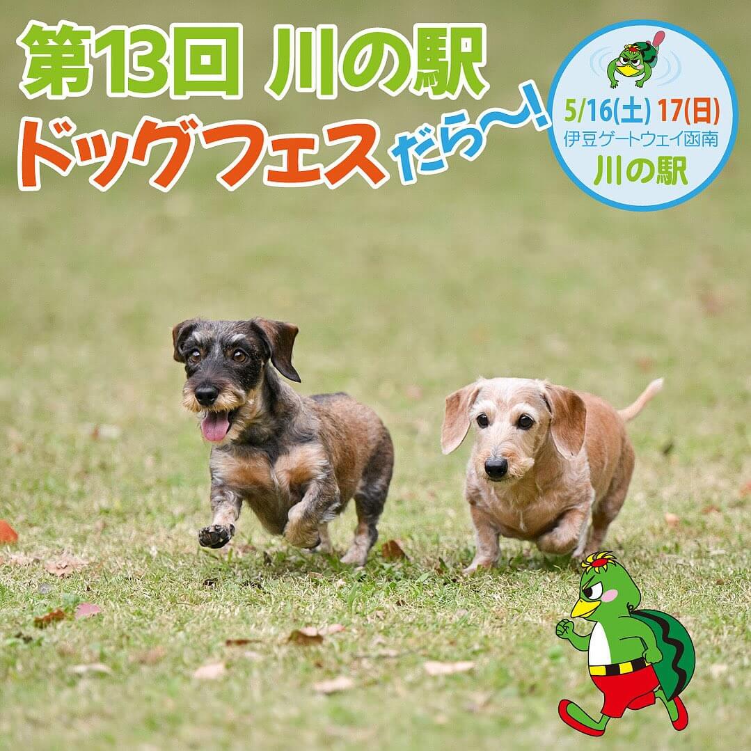 第13回　川の駅ドッグフェスだら～
