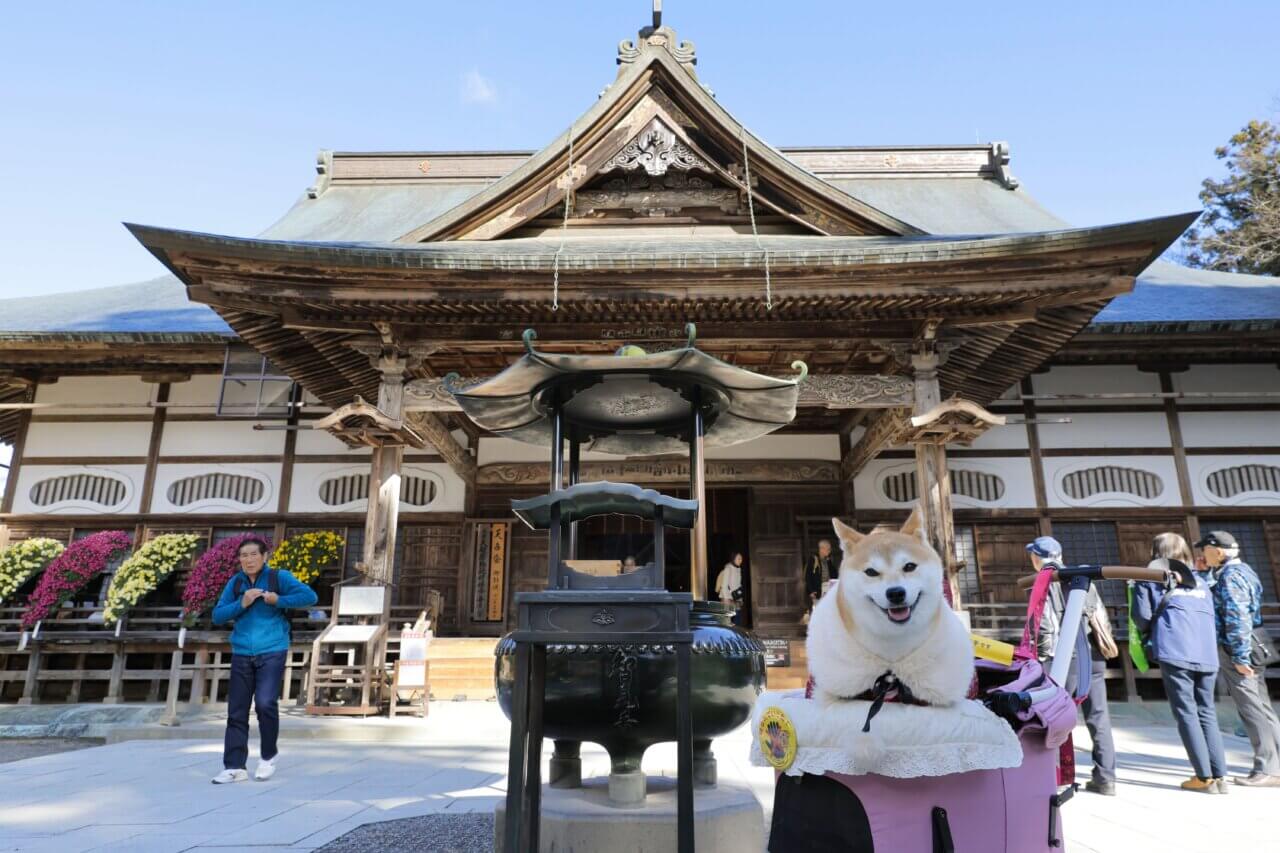 【岩手県・犬同伴OK】中尊寺|岩手県平泉の世界遺産・中尊寺で、愛犬と境内散策が楽しめる歴史的寺院