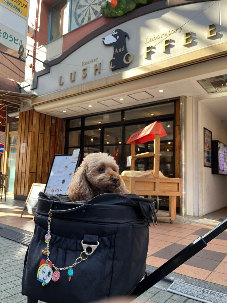 【東京都・犬同伴OK】東ティモールコーヒーラボ｜東京都北千住で、愛犬と自家焙煎コーヒーや犬用おやつを楽しめるカフェ
