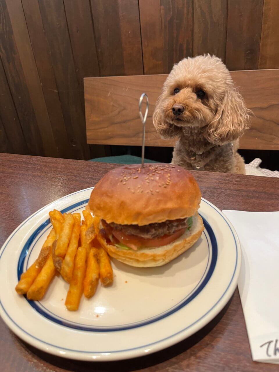 【東京都・犬同伴OK】Cafe＆Diner KHB｜北千住で、愛犬と手作りハンバーガーやテクスメクス料理を楽しめるアメリカンダイナー